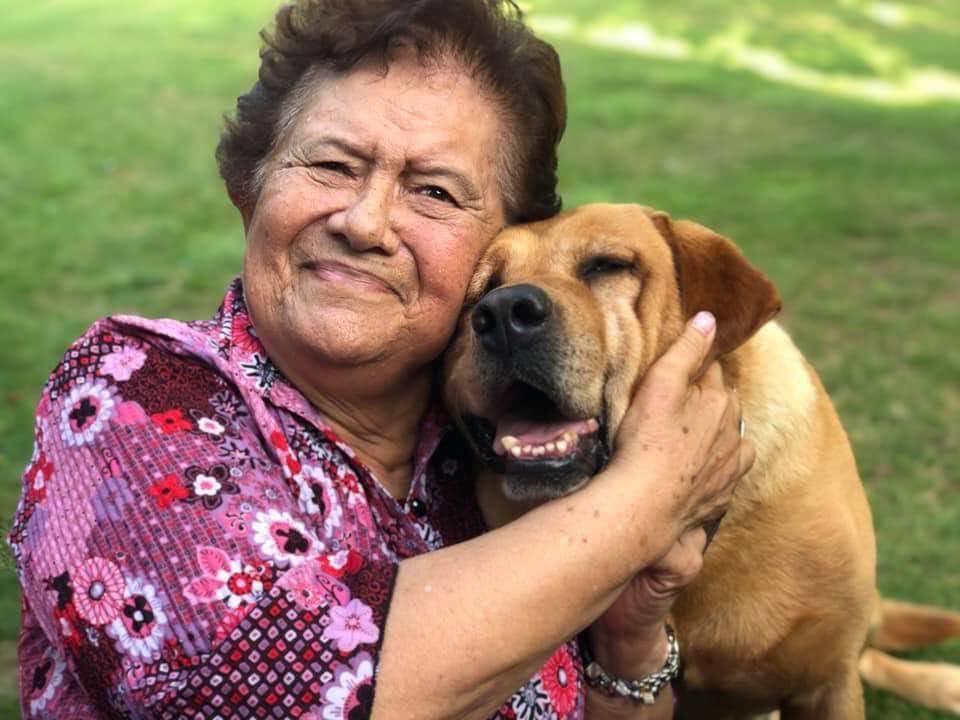 Polly Henare
